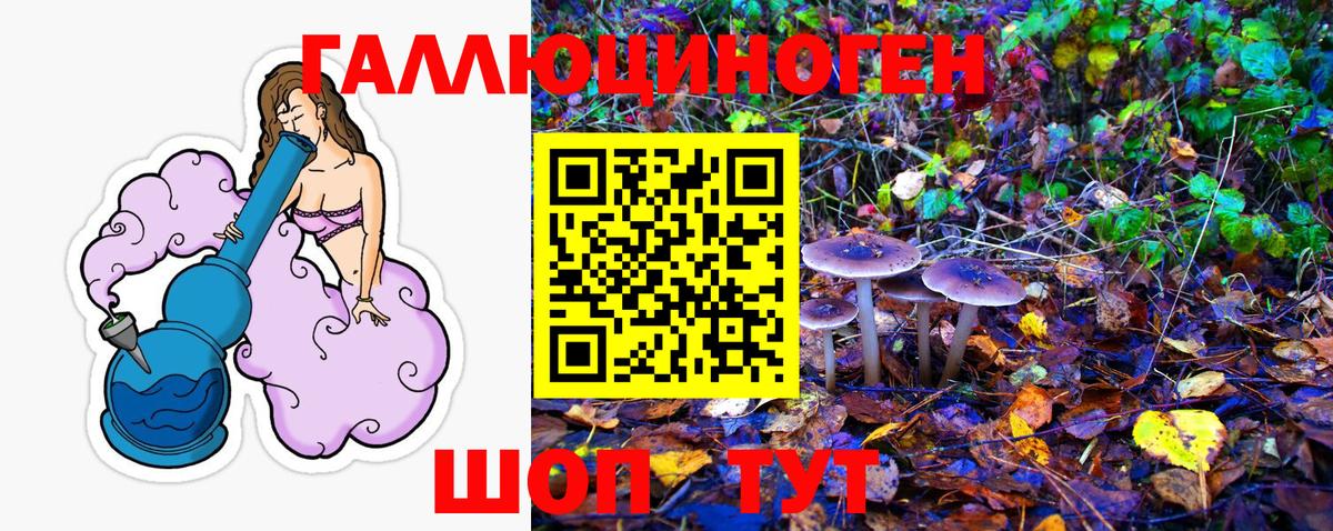 Узловая  Псилоцибиновые грибы мицелий  Псилоцибиновые грибы Magic Shrooms  Вход с VPN 